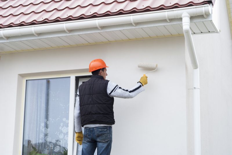 Exterior Wall Painting in Fort Collins, CO