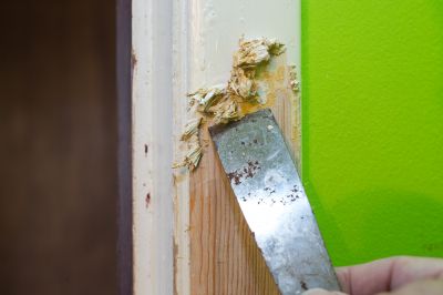 Wood Door Stripping